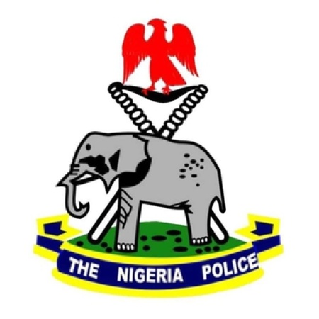 Police rescue abducted victims, arrest suspected cultist in Delta