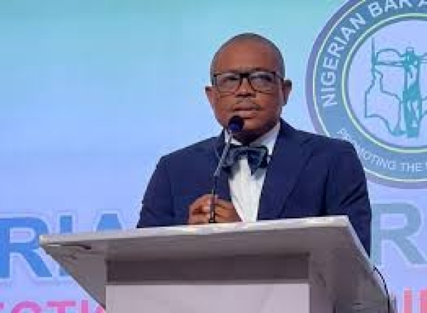 BOMBSHELL: Judges, lawyers worst bribe-takers — NBA President