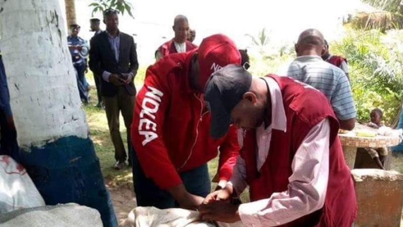NDLEA busts colorado lab, seizes drugs nationwide