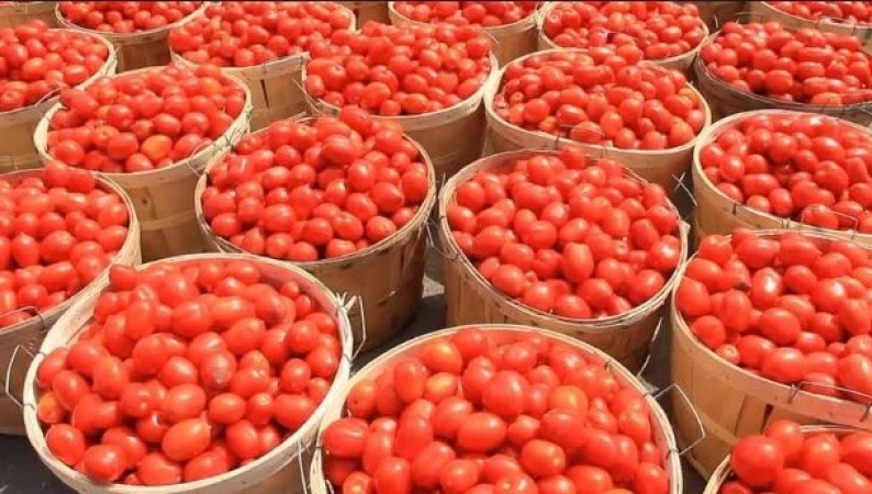 Ramadan: Tomato farmers allay fears of price hike