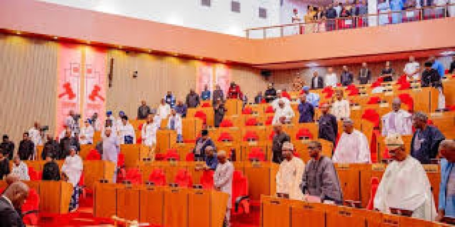 Drama in Senate as lawmakers clash during budget defence