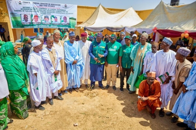 FG launches emergency programme to tackle tomato, sugarcane pests