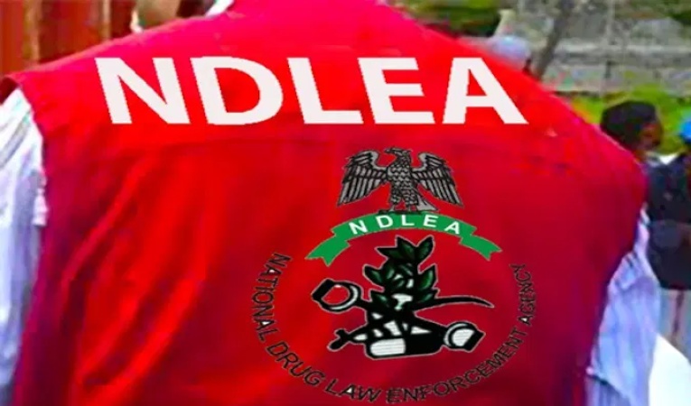 NDLEA intercepts London-bound cocaine consignment, uncovers Colos production factory in Lagos
