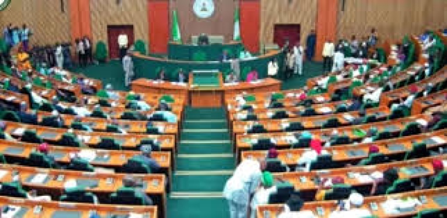 Electoral Act: House of Reps apologise to protesters tear-gassed at National Assembly