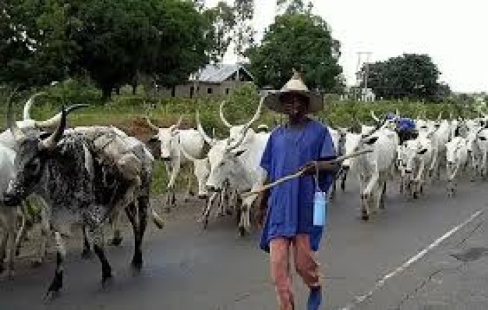 Gunmen kill three herders in Plateau