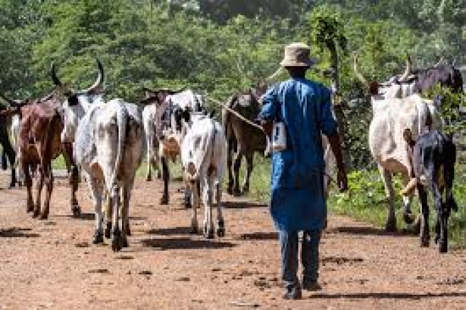 Residents raise alarm over movement of armed herders in Benue