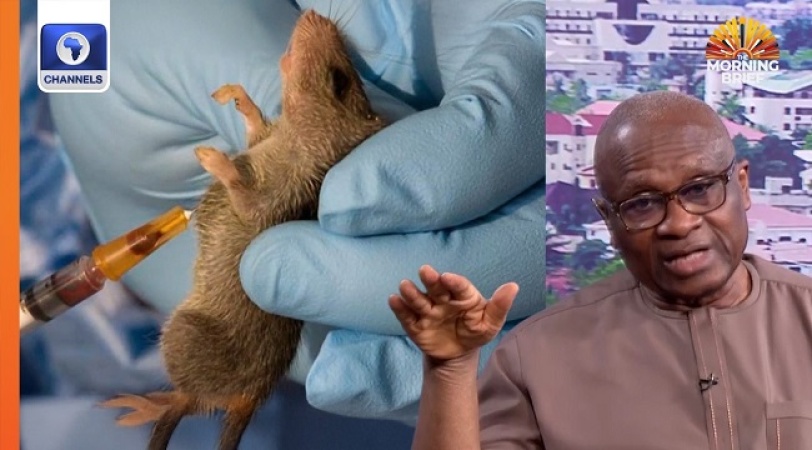 We will reduce Lassa fever incidence in 10 years – NCDC DG