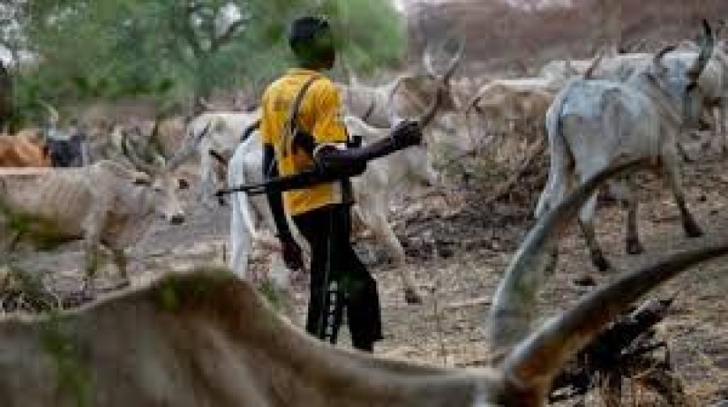 Enugu community cries out over incessant armed herders’ attacks