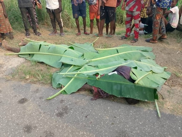 Truck crushes five children of same family in Bayelsa