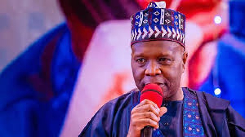 48 children stolen from Gombe — Gov Yahaya