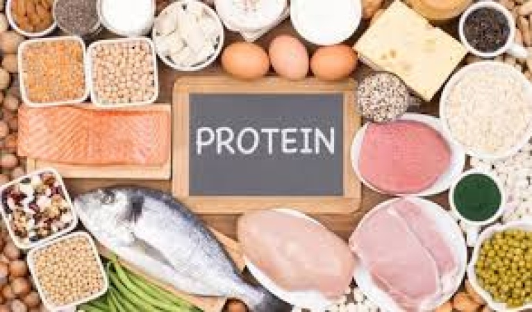 Nigeria risks protein deficit as population surges — VCs 