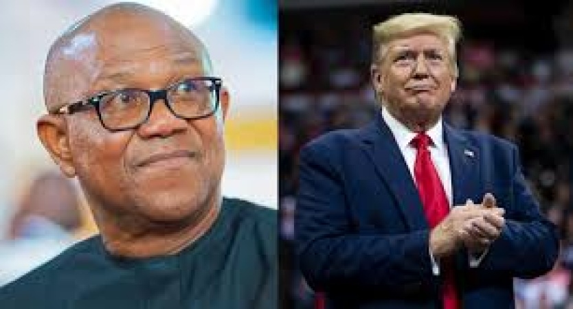 Activist petitions Trump over alleged attempt to assassinate Peter Obi