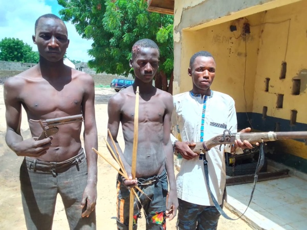 Cattle rustlers, drug dealers arrested in Jigawa