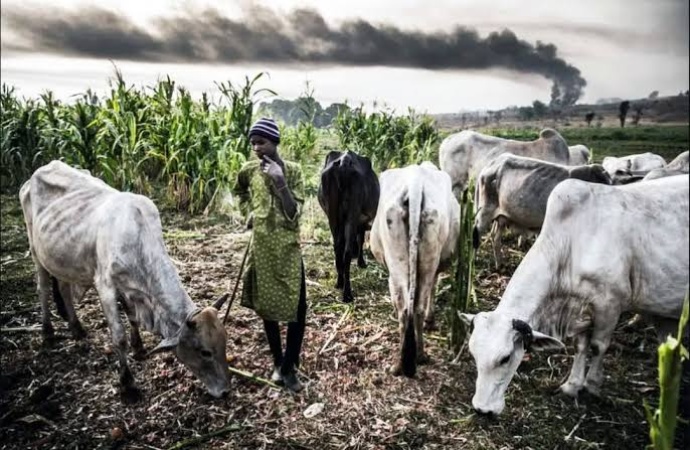 Farmer-herder clashes claim 3,000 lives, displace 300,000 in 5 years — Security Tracker