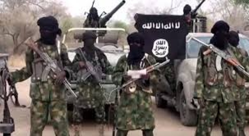 Borno: Hundreds still missing after Boko Haram attack