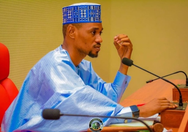 Nigerian Youth Parliament unveils leadership of 45 standing committees