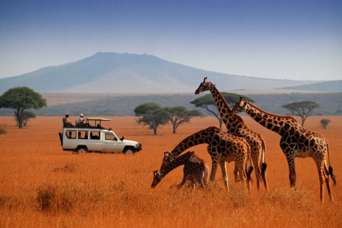 United States overtakes India, United Kingdom, China, Italy, Tanzania, Germany, and other giant nations to become Kenya’s top tourism contributor, helping achieve five million visitors, spark economic growth, and generate job opportunities nationwide