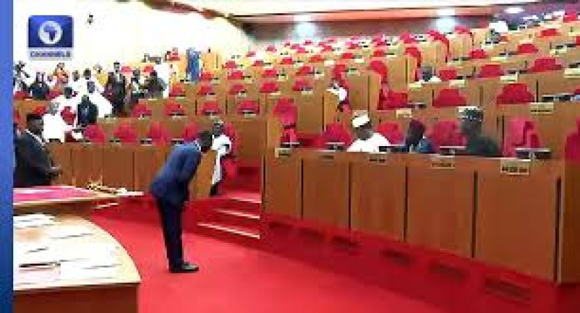 Senate confirms Oyedele’s appointment as minister