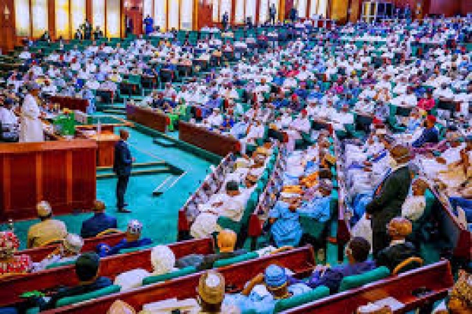 Reps prescribe 2-year jail term, 10m fine for dual party membership
