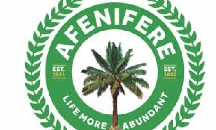 Afenifere urges peace, dialogue amid Yoruba traditional disputes  