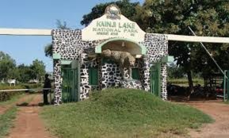 Insecurity: Tinubu orders clearance of Borgu National Park for human habitation