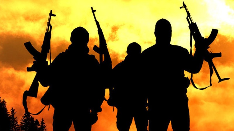 Gunmen kill three police officers, vigilante in Taraba