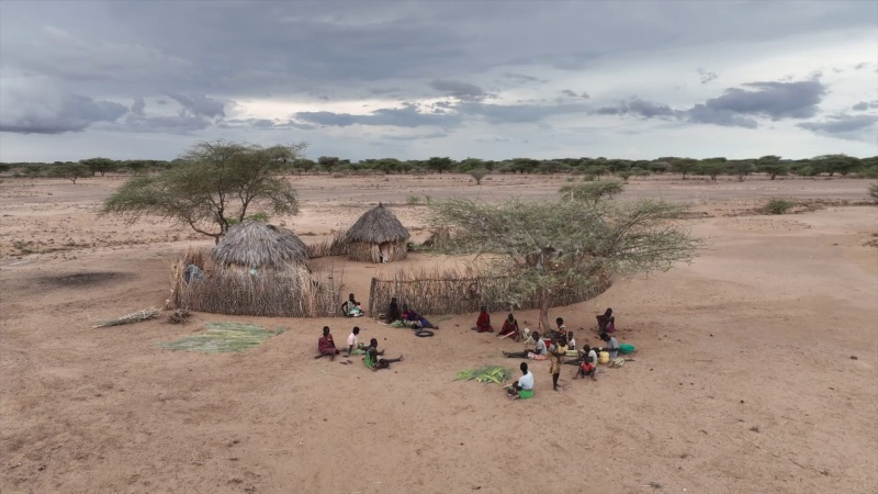 Desperate for food, drought-stricken Kenyans turn to the gingerbread tree 