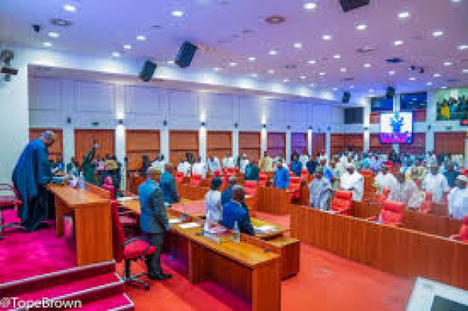 Senate explains delay on dual party membership ban