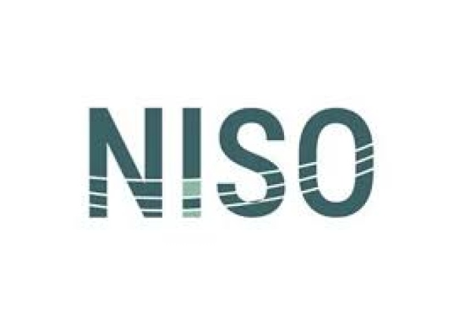 Electricity: NISO denies reports of zero allocation to DisCos