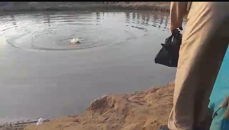 Two drown in Kwara quarry lake 