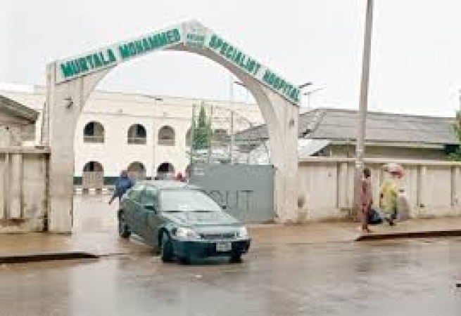 Mother of 8 gives birth to 5 children in Kano
