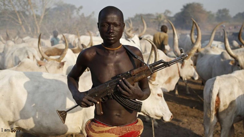 ‘Guns failed to fire’; Benue farmer recounts ordeal with herdsmen