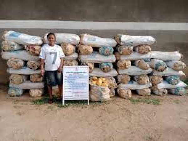 NDLEA intercepts large consignment of cocaine hidden inside ‘Okporoko’ at Lagos airport