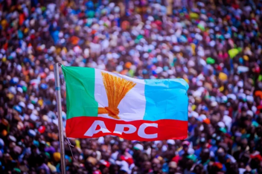 JUST IN: PDP, ADC, LP members join APC in Edo