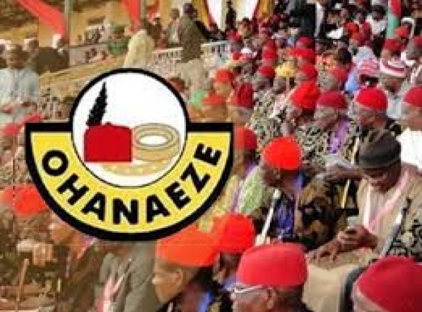 ‘Eze Ndigbo’: Ohanaeze decries post-installation crisis in East London, South Africa