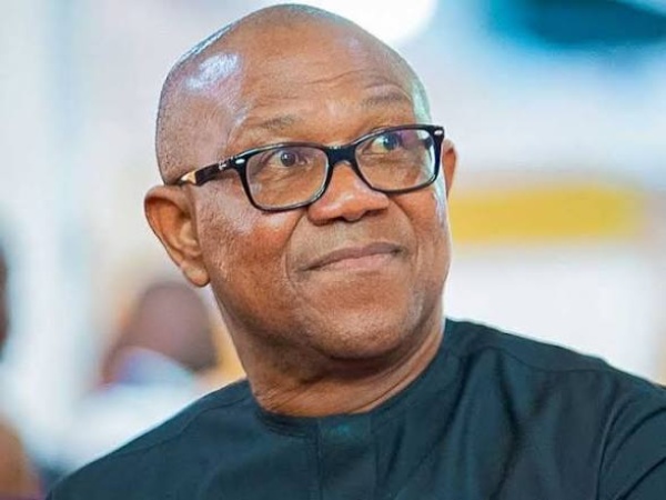 Abacha more democratic than NADECO activists — Peter Obi