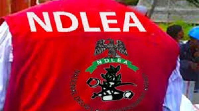 Relatives allege suspects' detention by NDLEA without trial, medical attention in Edo