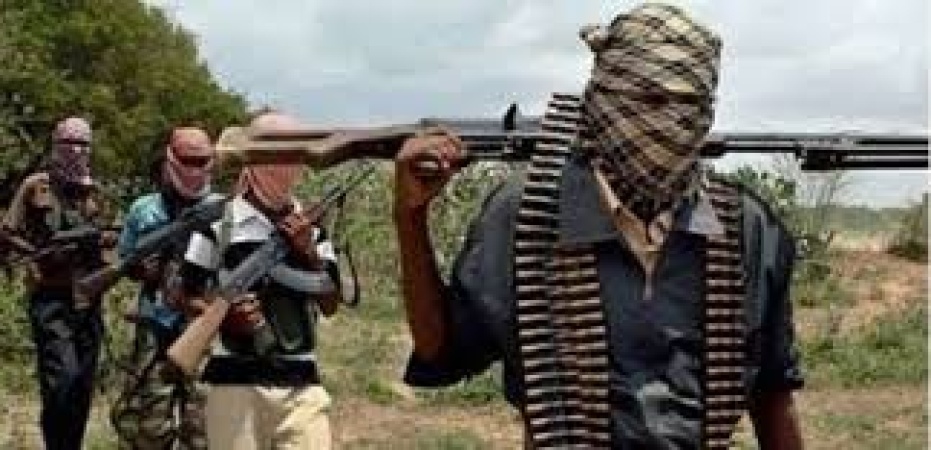 Gunmen abduct 9 in Sokoto community