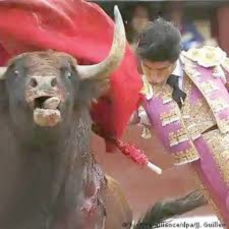 Retired matador killed by bull ahead of bullfight in southern Spain