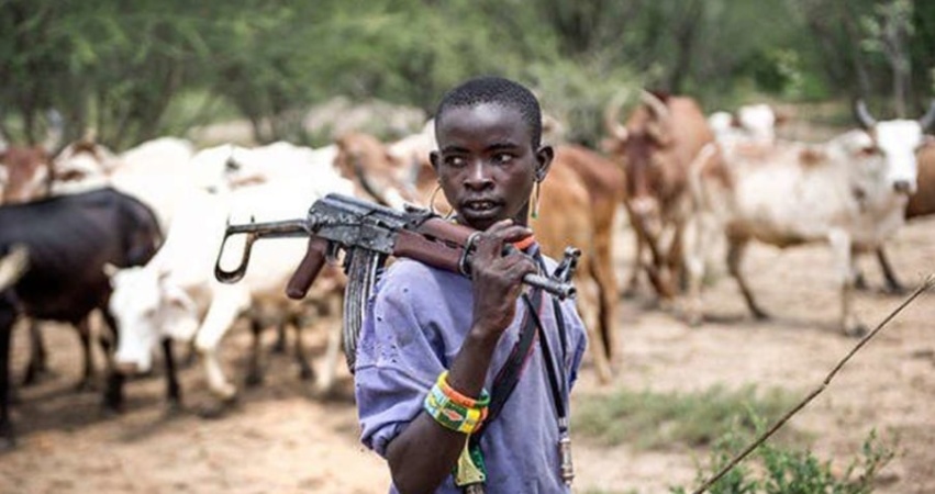 Benue Easter attack: Death toll rises to 11 —Community leader 