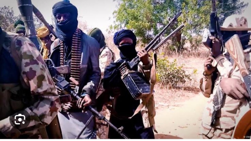 Bandits kill five, abduct 150 in Niger community