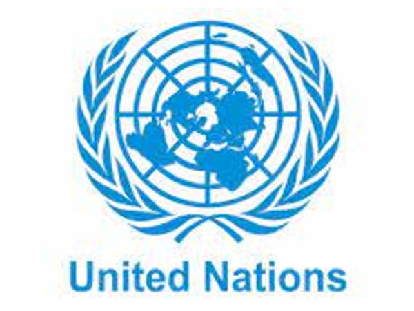 UN pledges support for Dangote Group to scale global impact on food security