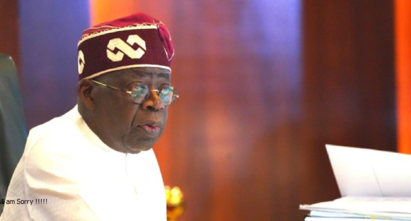 Why Tinubu missed commissioning of Lagos bridge despite being in Lagos — Presidential Aide