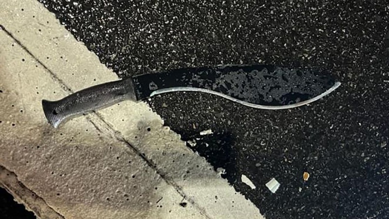 Knifeman calling himself 'Lucifer' goes on rampage at US train station 