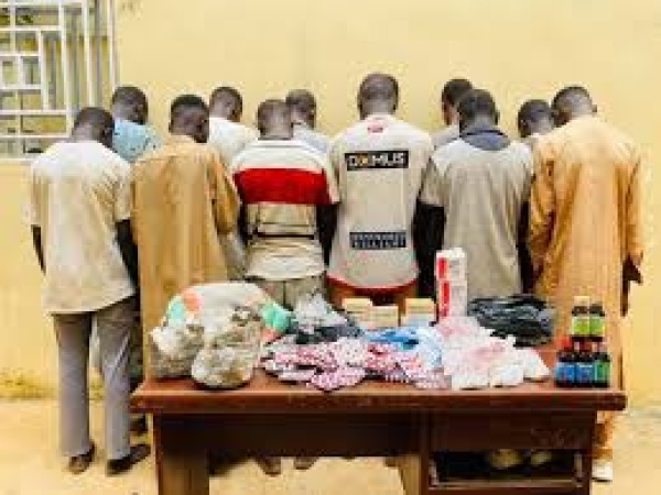 NDLEA raids Kano drug dens, arrests 21 suspects