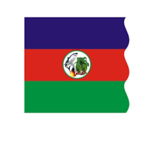 Ijaw National Congress BOT gives nod to April 13 elections in Yenagoa