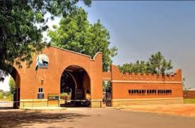 Vigilante officer killed in bandit attack at Bauchi game reserve