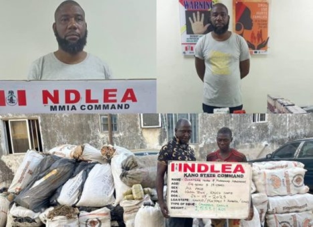 11 drug kingpins bag 254 years in prison as NDLEA secures 974 convictions in three months
