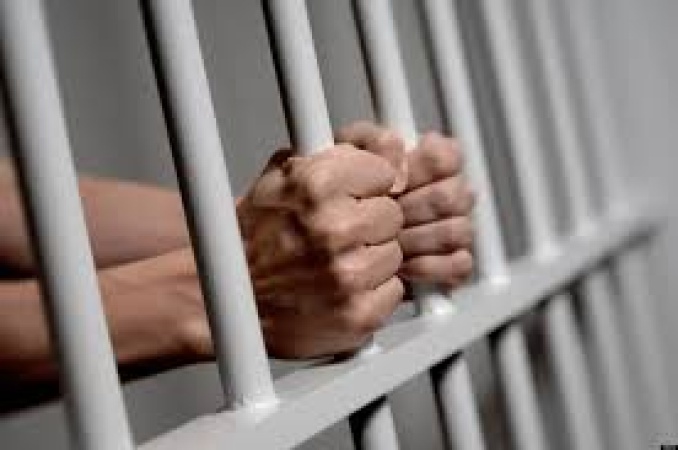 Fugitive wildlife trafficker arrested after five years on the run