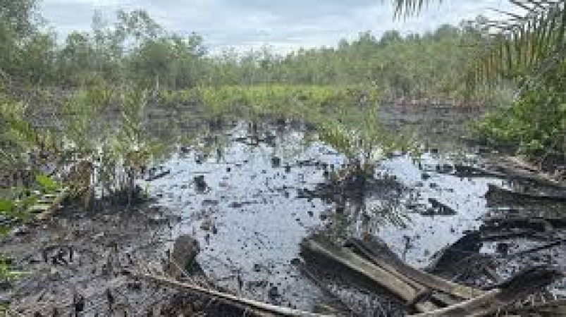 Delta oil communities flay operators over non-implementation of PIA